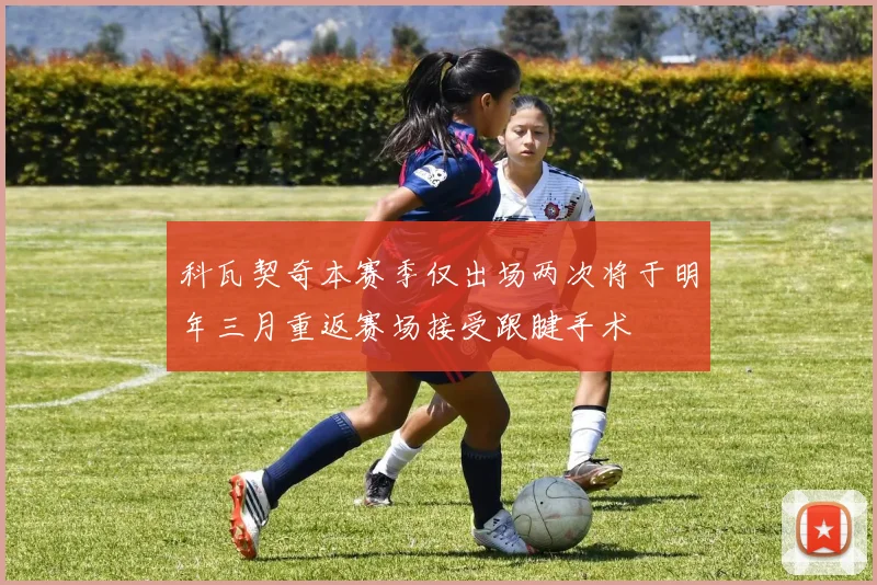 科瓦契奇本赛季仅出场两次将于明年三月重返赛场接受跟腱手术